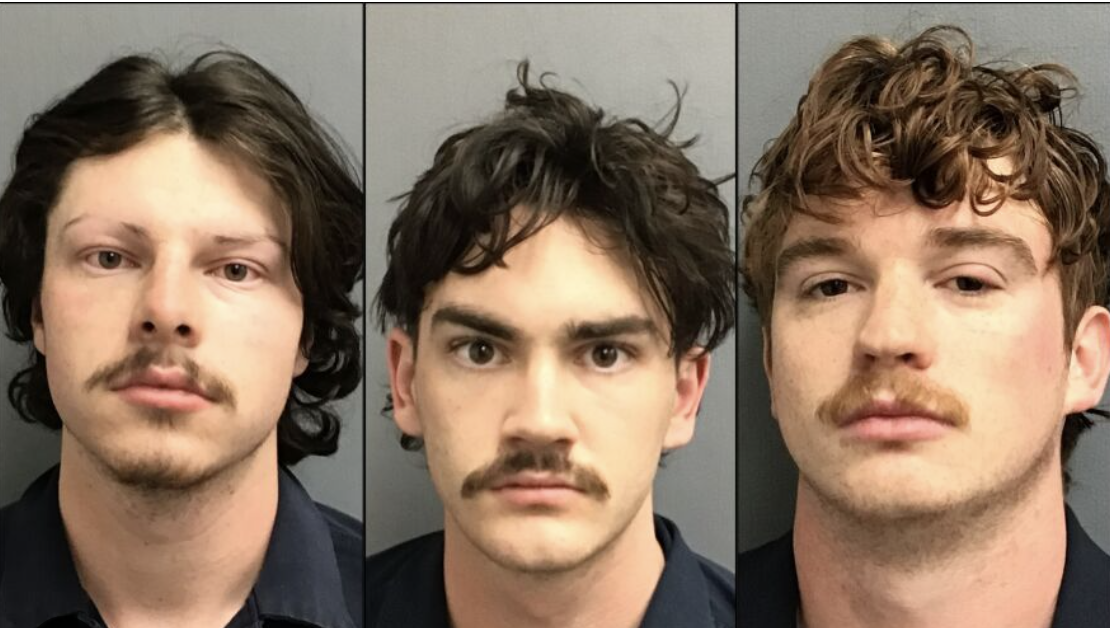 Arrest Pictures